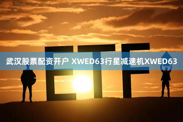 武汉股票配资开户 XWED63行星减速机XWED63